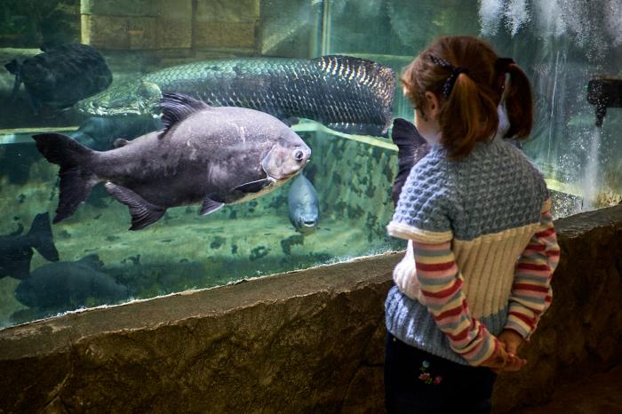 Севастополь: сезон, межсезонье и&nbsp;&laquo;несезон&raquo;