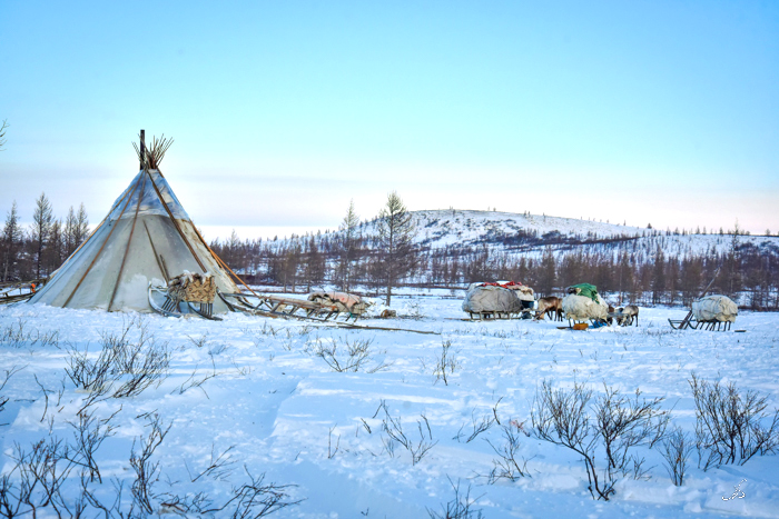 Ямал-это уже бренд: что показать туристу?