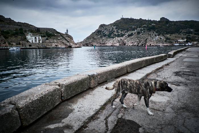 Севастополь: сезон, межсезонье и&nbsp;&laquo;несезон&raquo;